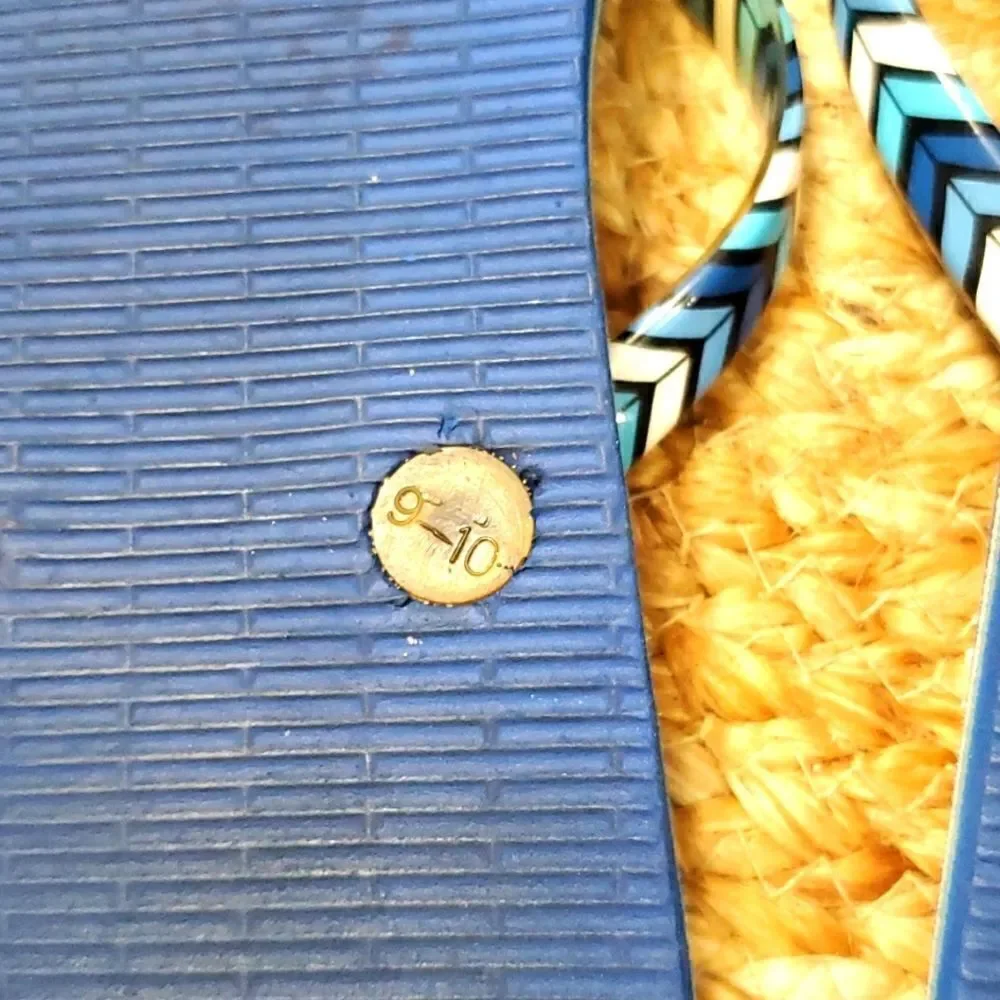 Vera Bradley Blue Floral Flip Flops (L, 9-10)